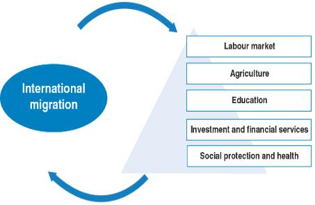 IPPMD_Migration and sectoral development policies_visual